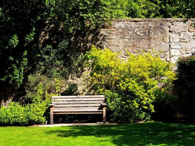 What Wood Is Used for Garden Benches? We’ve Got the Scoop!