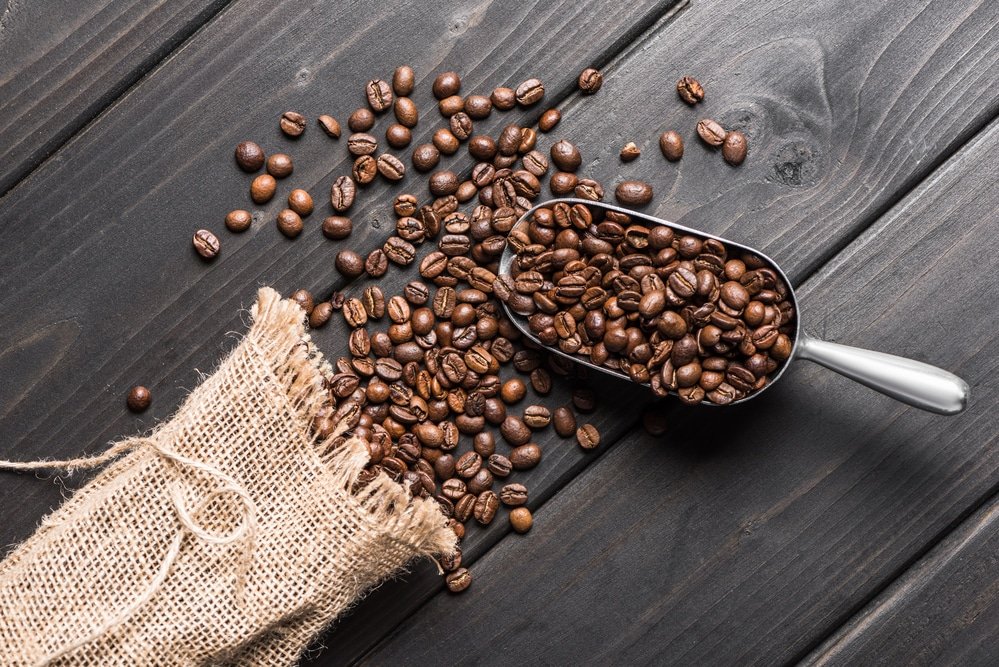 How to Grind Coffee Beans with a Food Processor