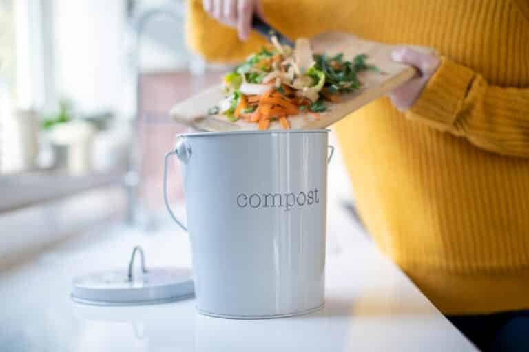 How to Prevent Fruit Flies in Your Kitchen Compost Bin