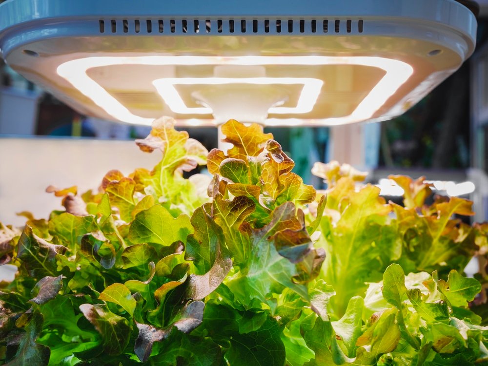 can led grow lights catch fire