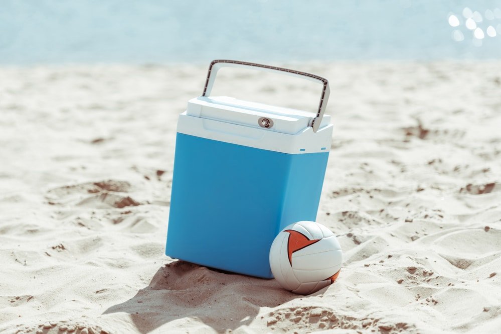 electric cool box vs cool bag
