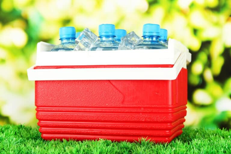 Electric Cool Box vs Fridge: Which Is Best for You?