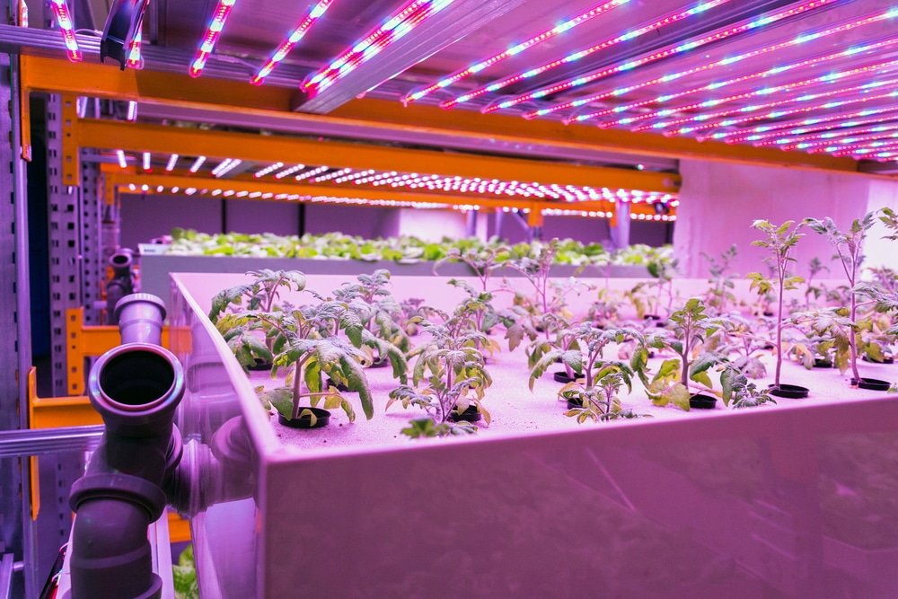how long do led grow lights last for