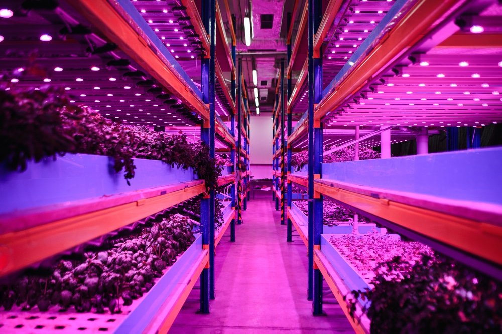 how much do led grow lights cost to run