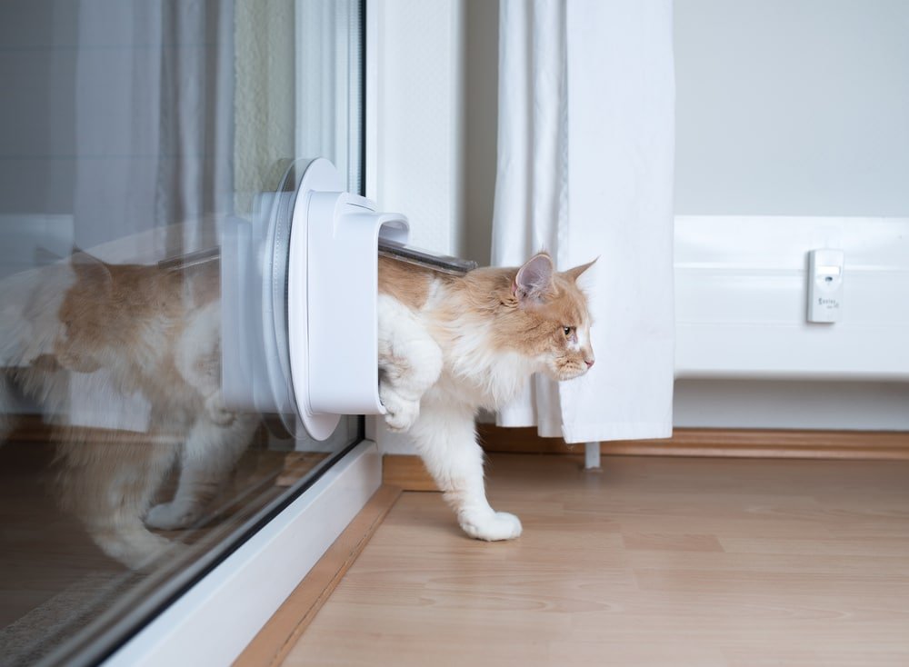 how to cover an old cat flap hole