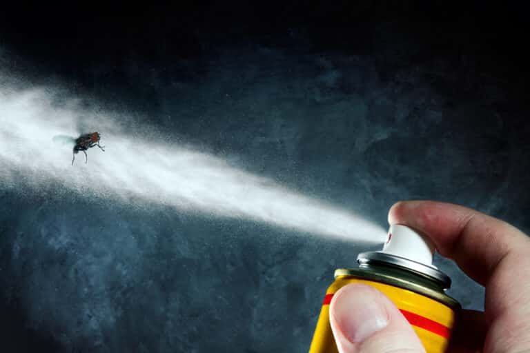 How to Make Fly Killer Spray: A Step-by-Step Guide