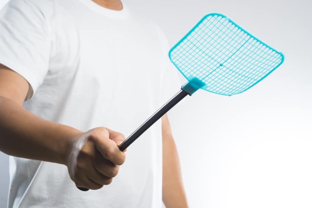 what is the fastest way to kill flies