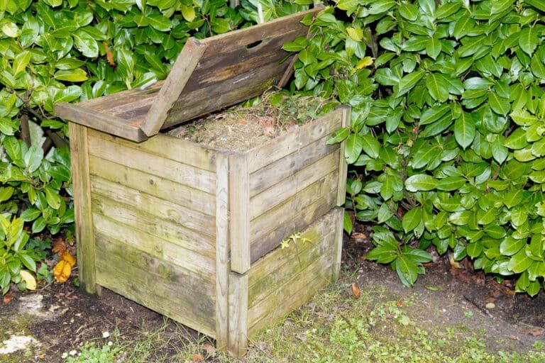 What to Do With Old Kitchen Bins? Get Creative!
