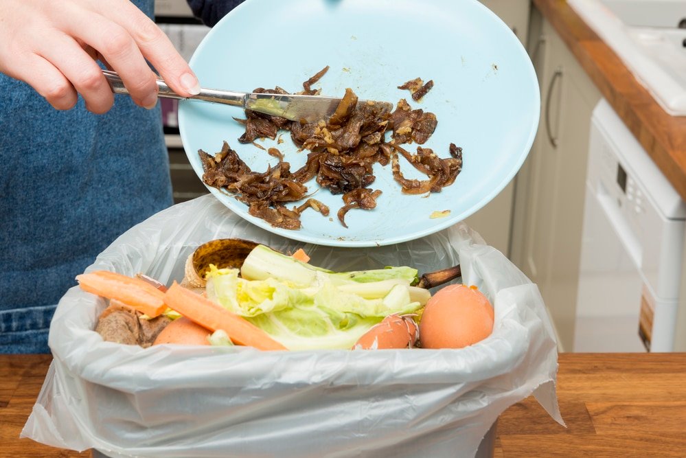 what to put in a kitchen compost bin
