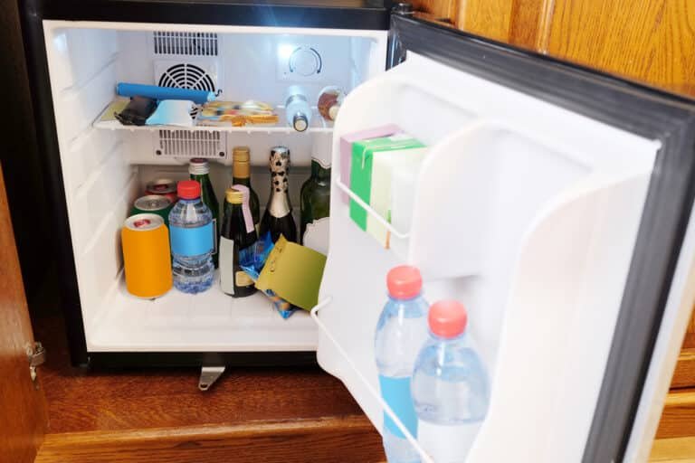 What to Put in a Mini Fridge? Let’s Chill Out!