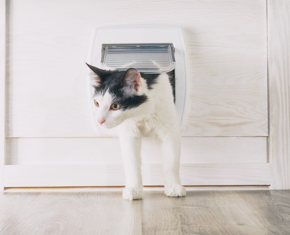 who invented the cat flap