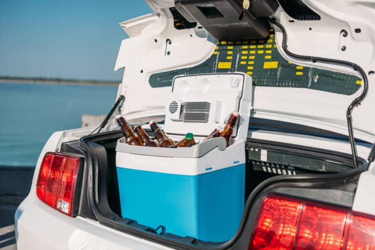 Will an Electric Cool Box Drain the Car Battery? Find Out!