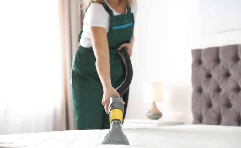 Can Garment Steamers Kill Bed Bugs? Find Out Here!