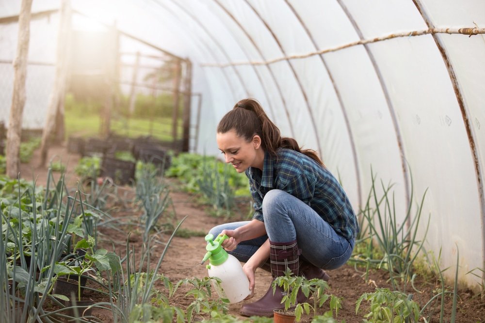 Can You Use Weed Killer When Pregnant