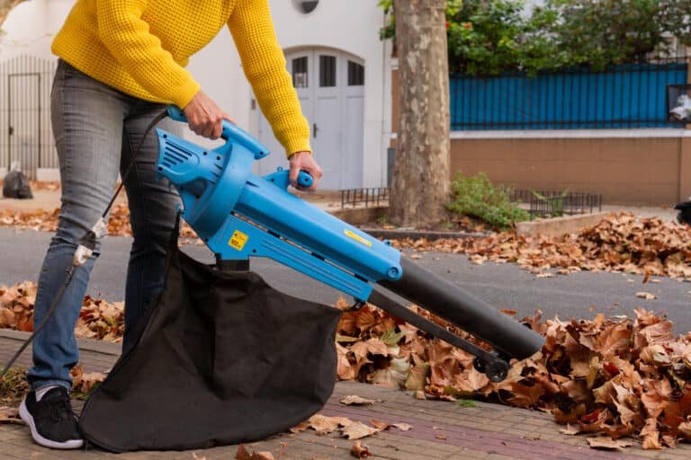 Garden Vacuum vs Leaf Blower: Which Is Best for You?