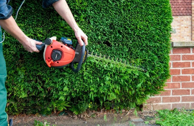 Hedge Trimmer vs Chainsaw: Which Is Best for Your Garden?