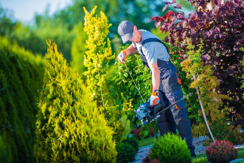 How to Dispose of Hedge Trimmers