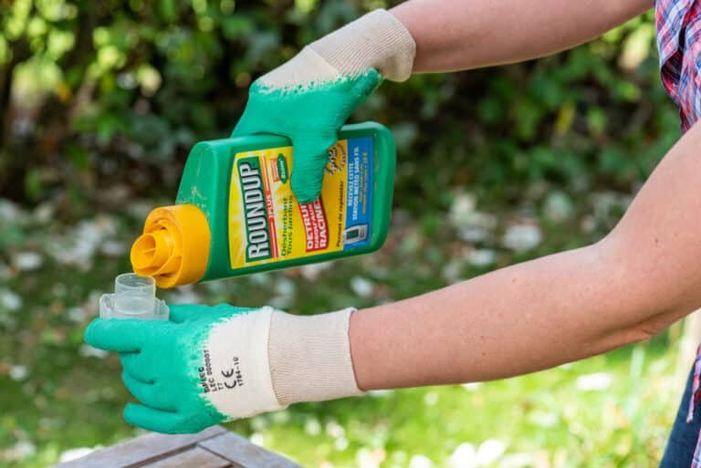 How to Dispose of Weed Killers Safely in the UK: A Guide