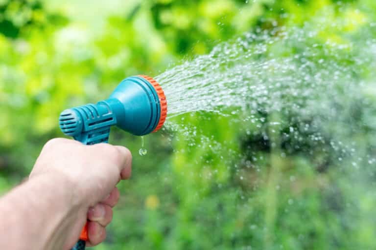 Here’s How to Fix a Garden Hose Spray Nozzle in a Jiffy