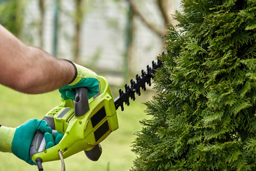 How to Fix a Jammed Hedge Trimmer