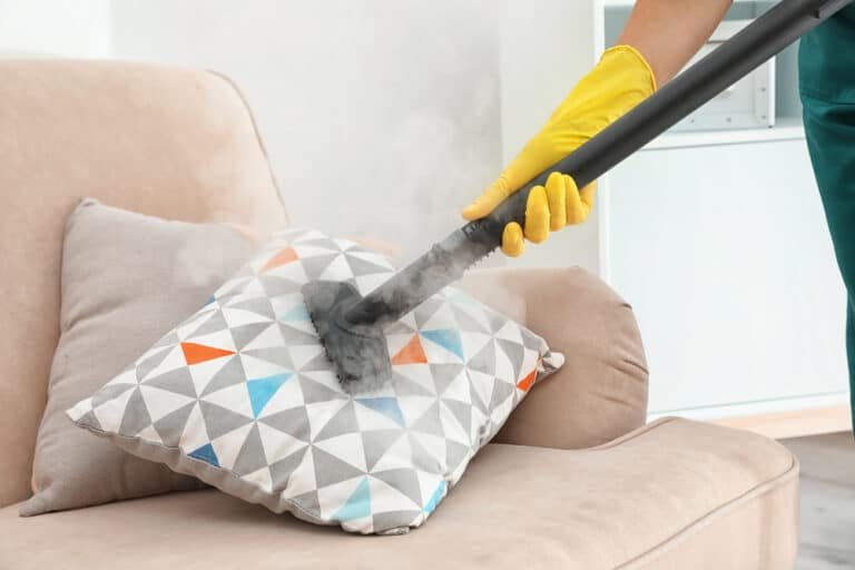 Clean Like a Pro: How to Use a Steam Cleaner