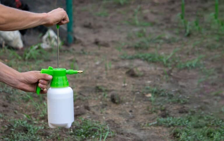 How to Wash Weed Killer Off Hands: 3 Simple Steps