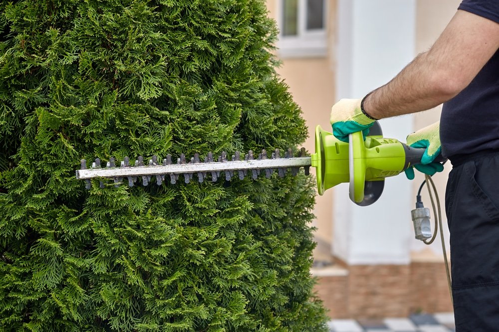 What Can Hedge Trimmers Cut