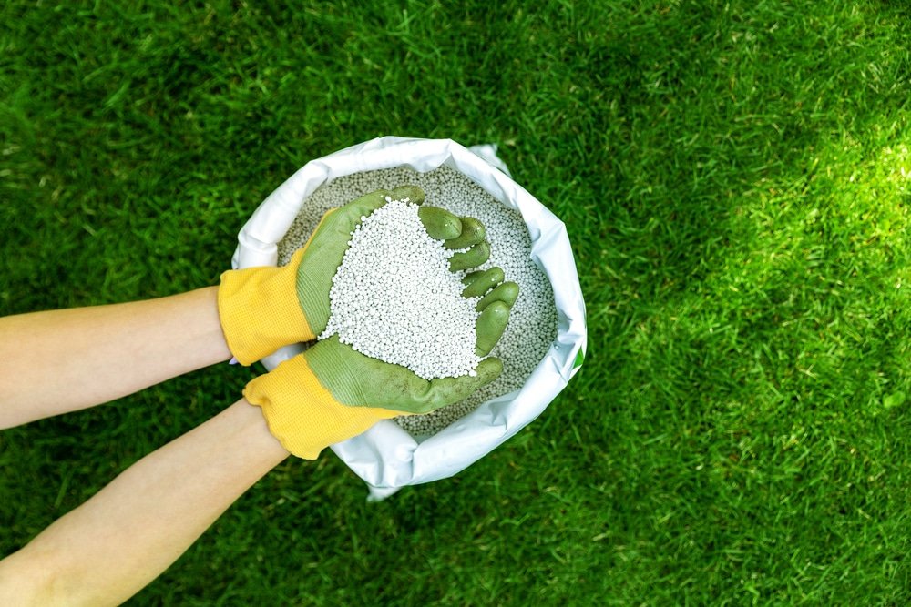 What Does Lawn Feed Do