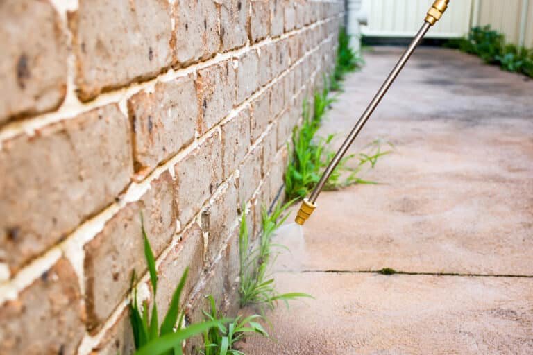 What Happens If You Use Too Much Weed Killer? Find Out Here!