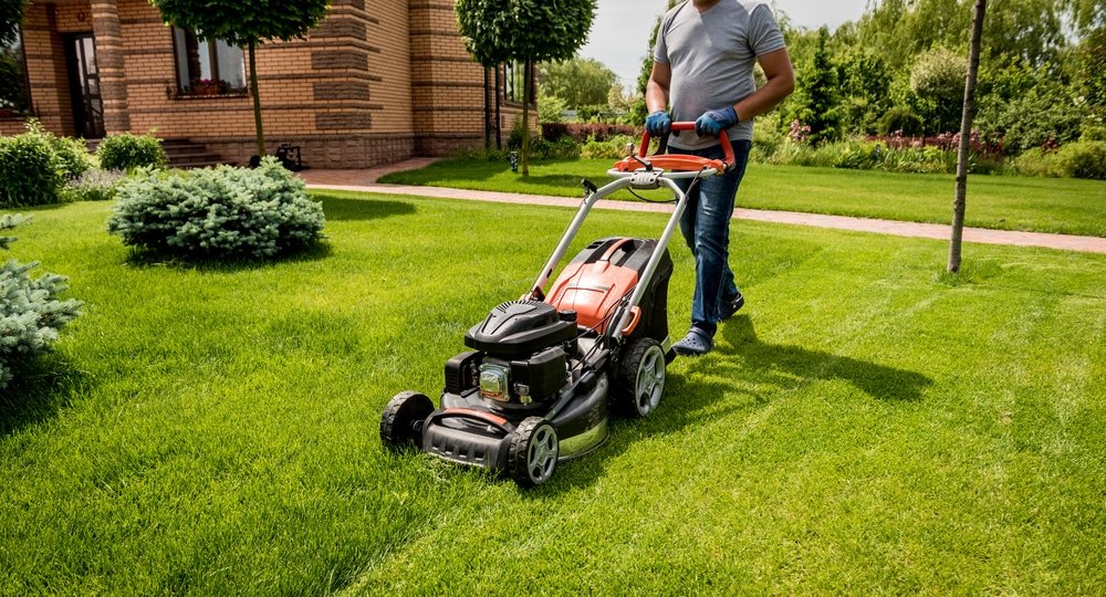 When to Mow a Lawn After a Weed and Feed Treatment