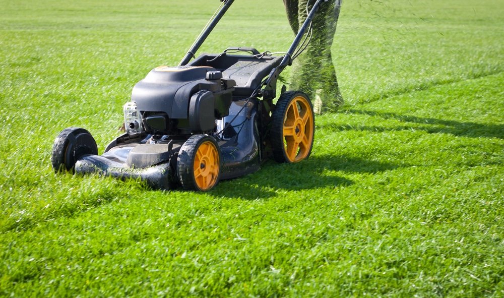 Who Invented the Electric Lawnmower