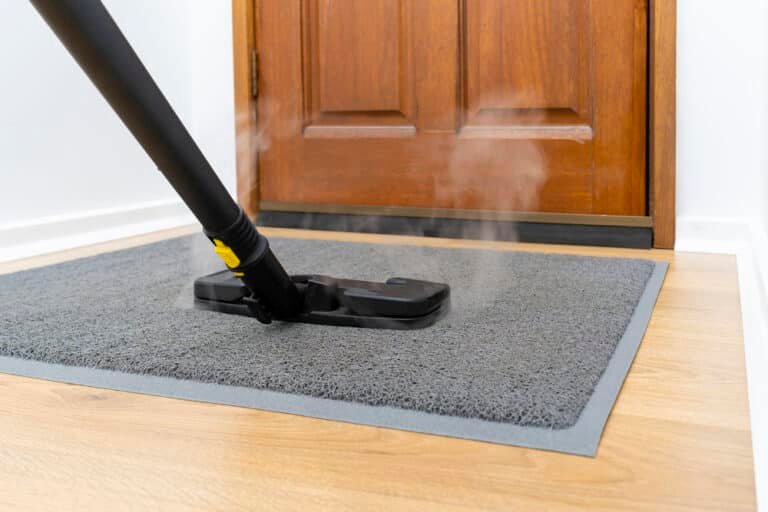 Why Does My Steam Cleaner Smell? Here’s How to Fix It!