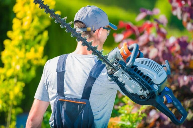 Why Won’t My Hedge Trimmer Start? Find Out Here!