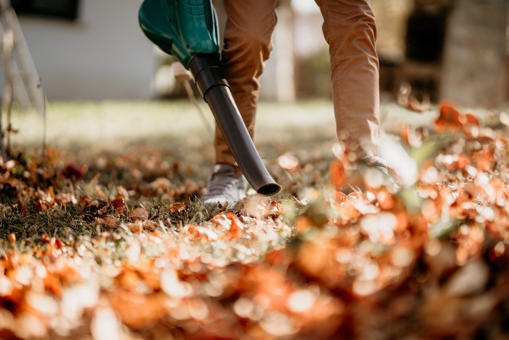 Will a Garden Vacuum Pick Up Acorns