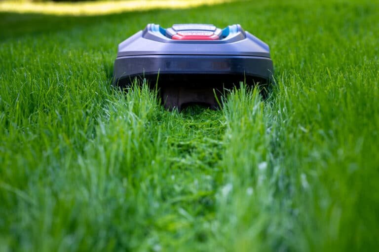 Do Robot Lawnmowers Work in the Rain? Find Out Here!