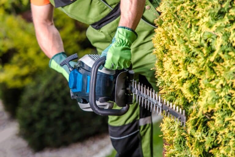 How to Clean a Hedge Trimmer: A Step-by-Step Guide