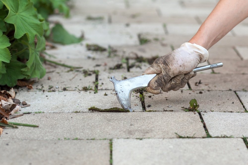 how to kill weeds without a weed killer