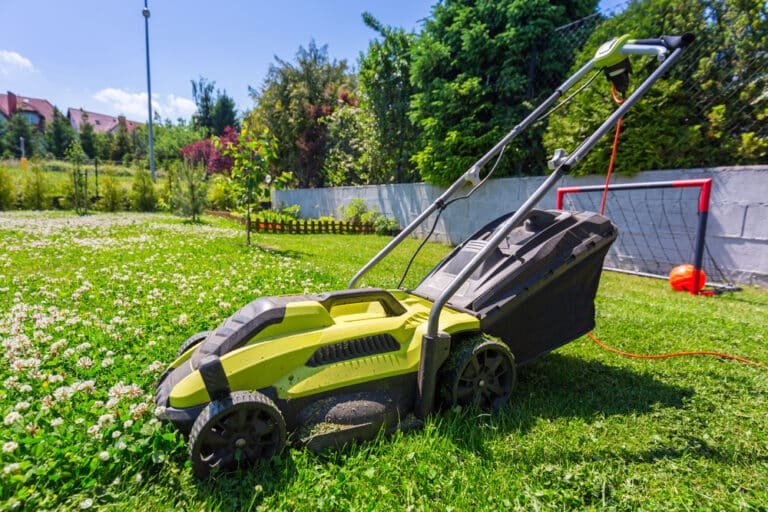 Lawn Scarifier vs Aerator: Which Tool Is Right for You?