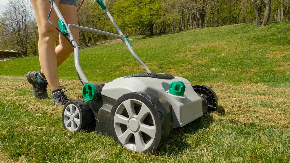 lawn scarifier vs dethatcher