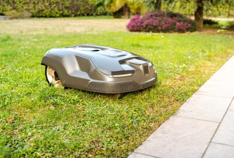 Robot Lawnmowers vs Ride-On Mowers: Which Is Best for Your Garden?