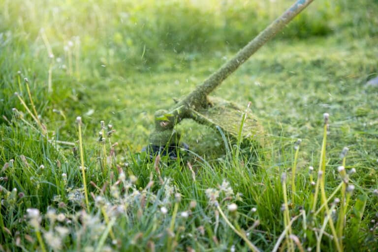 Why Is My Strimmer Smoking? Here’s What You Need to Know!