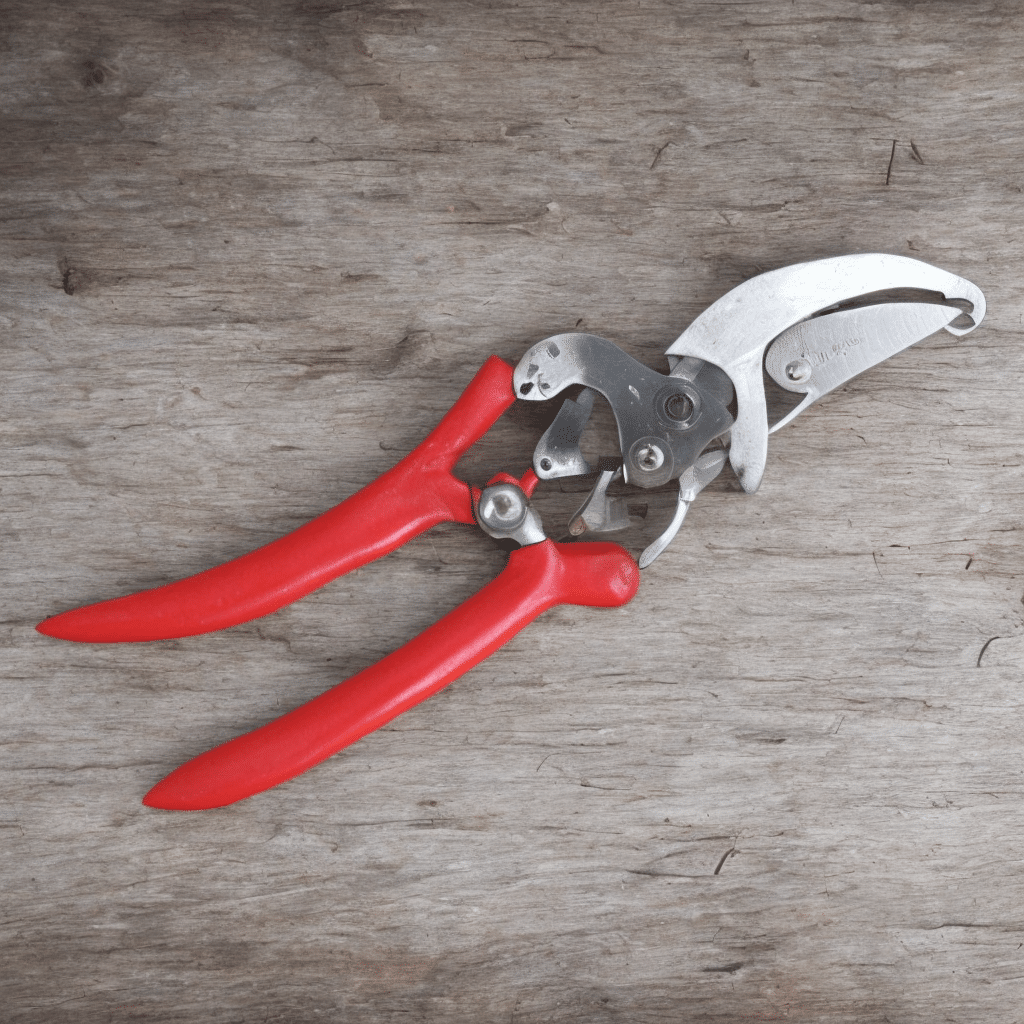Secateurs on a table