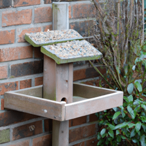 a bird feeder near the wall