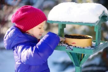 a girl adding seeds to bird feeder