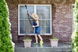 housewife washing the windows
