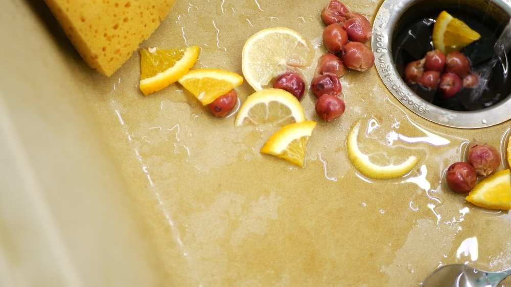 organic scraps in sink