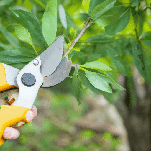 pruning the twigs