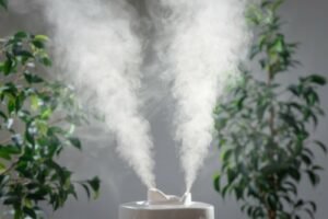 purifying cleaning device