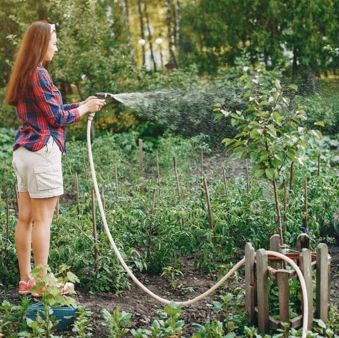 a beautiful woman watering plants in the garden