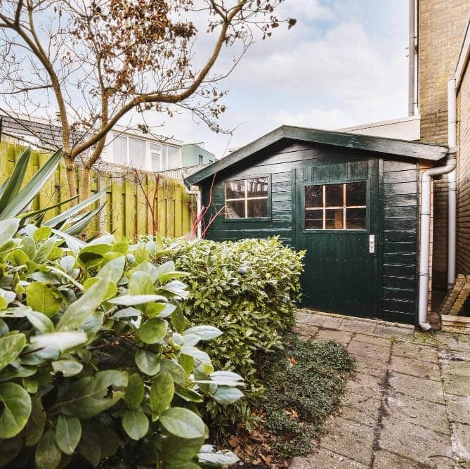 a dark green shed next to the garden
